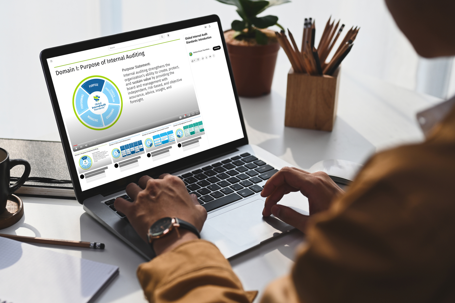 TeamMate+ New Global Internal Audit Standards: Domain I Demo