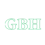 Groupe Bernard Hayot.png