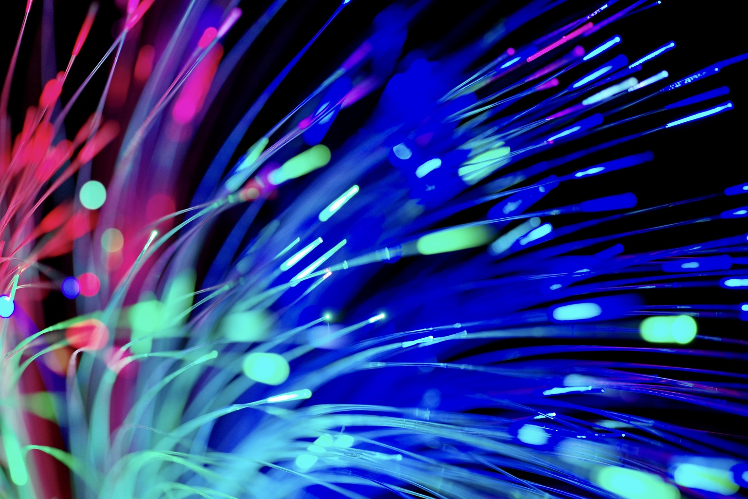 Wolters Kluwer names the winner of its 2024 Excellence in Data Analytics Award