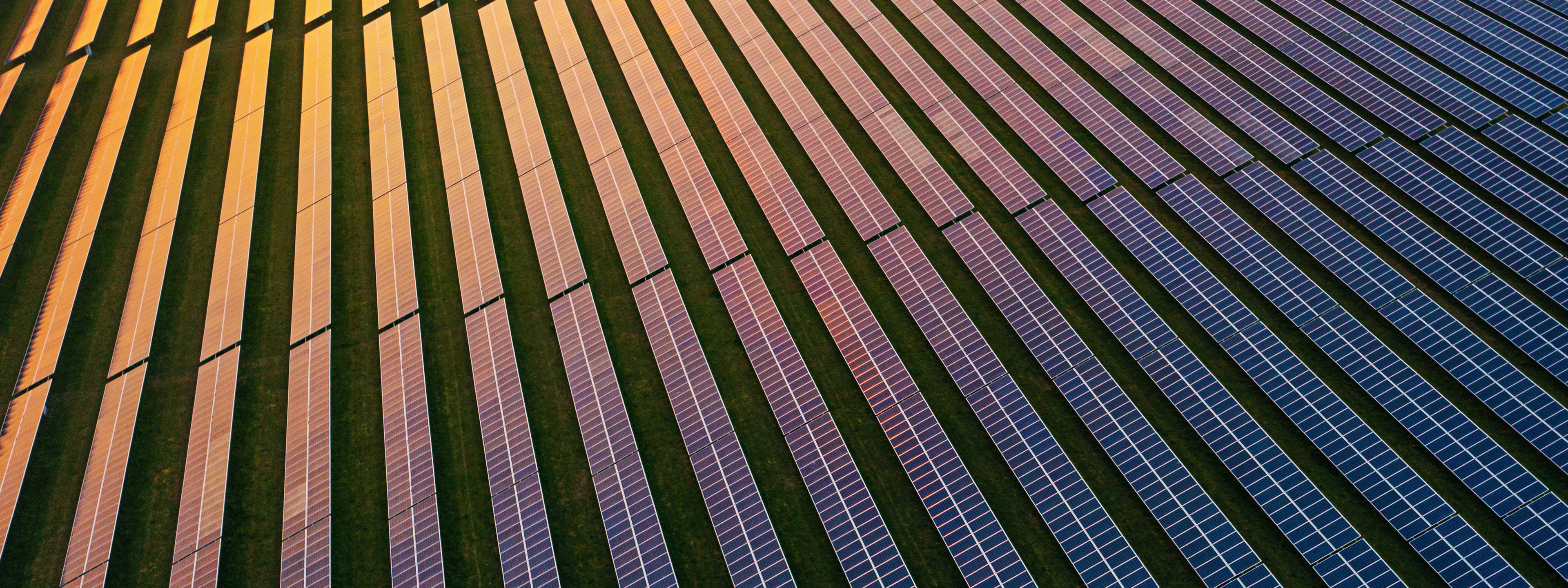 Solar panels at dusk